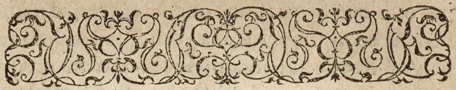 Numérisation d'un ornement