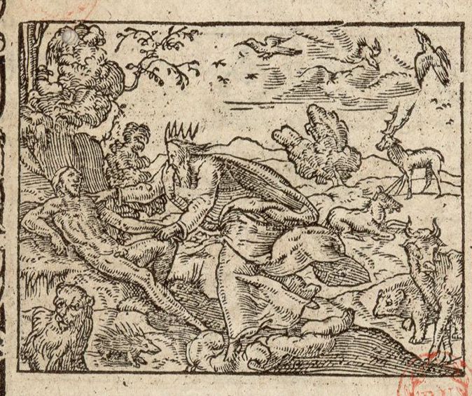 Numérisation d'un ornement