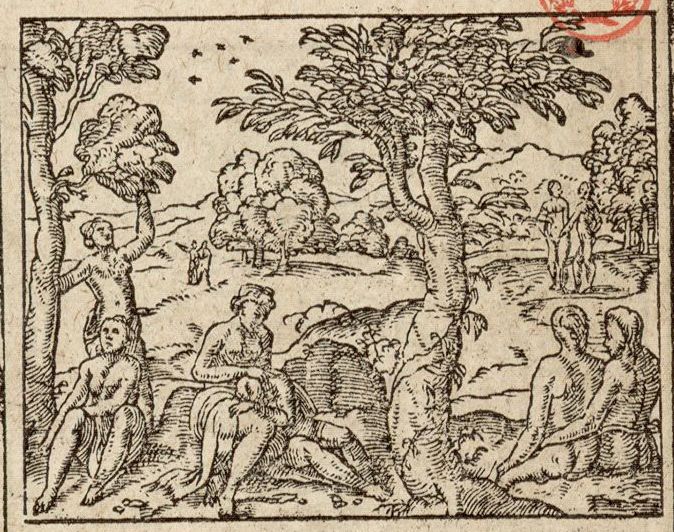 Numérisation d'un ornement