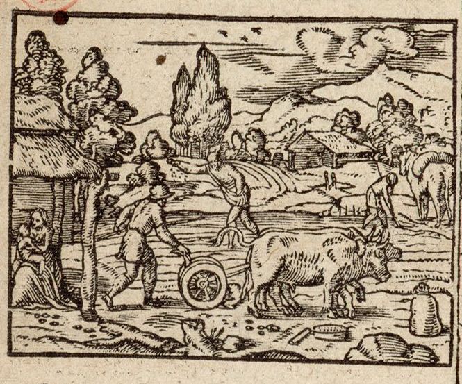 Numérisation d'un ornement