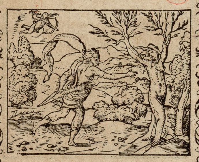 Numérisation d'un ornement