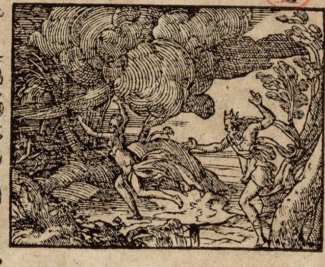 Numérisation d'un ornement