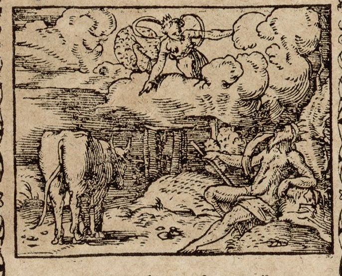 Numérisation d'un ornement