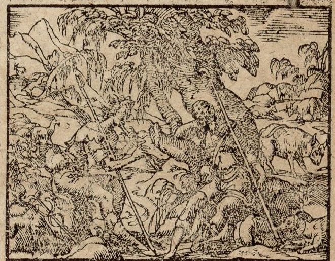 Numérisation d'un ornement