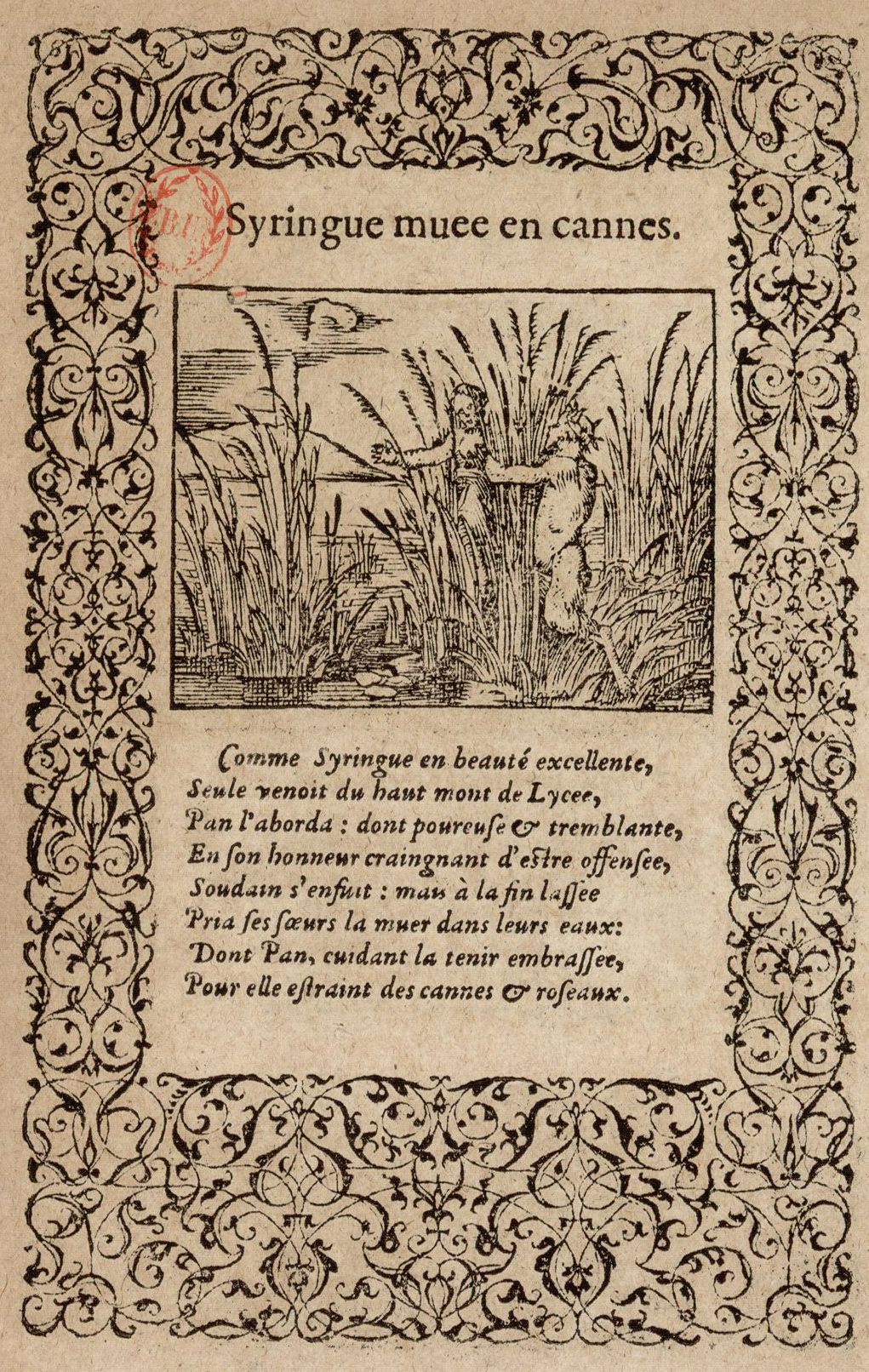 Numérisation d'un ornement