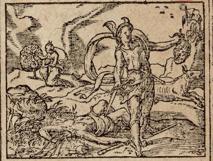 Numérisation d'un ornement