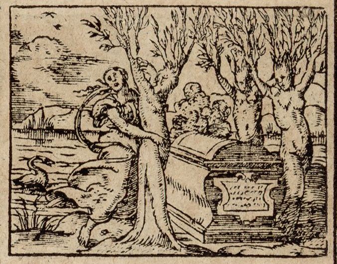 Numérisation d'un ornement