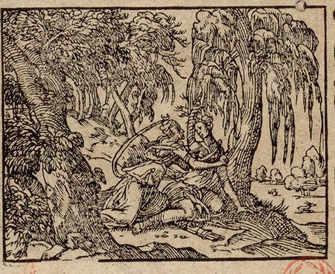 Numérisation d'un ornement