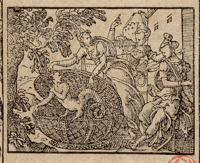 Numérisation d'un ornement