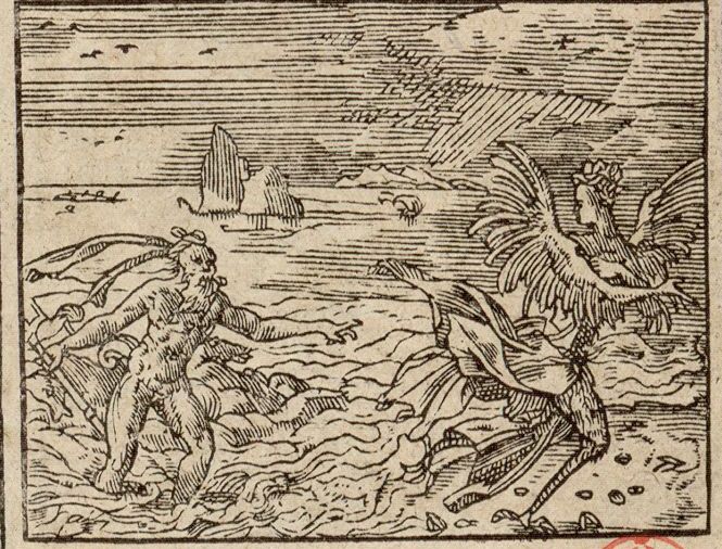 Numérisation d'un ornement