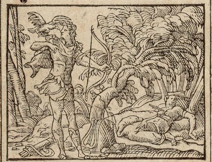 Numérisation d'un ornement