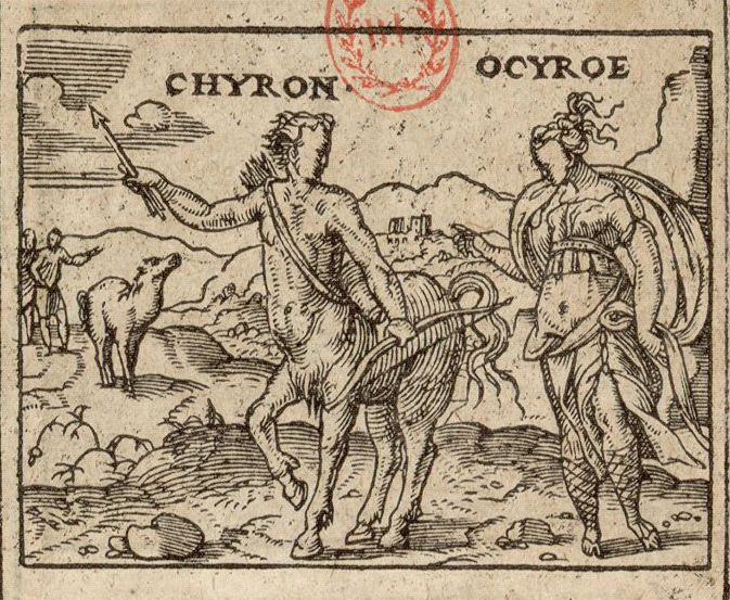 Numérisation d'un ornement