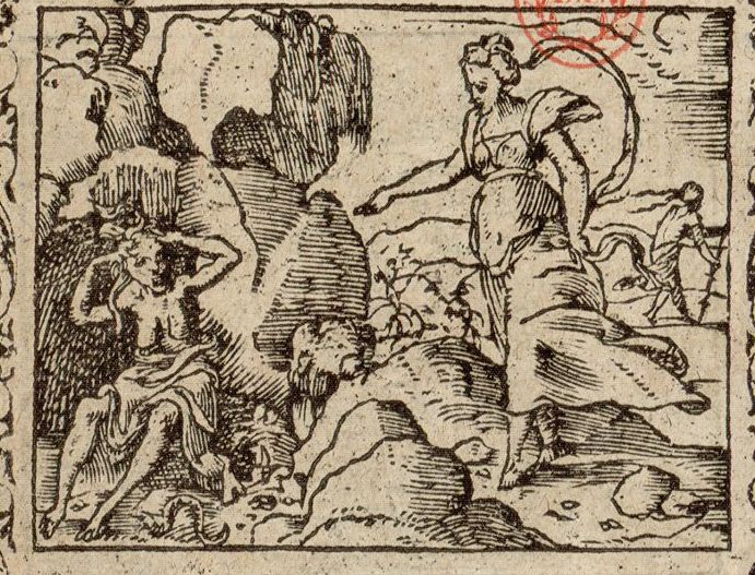 Numérisation d'un ornement