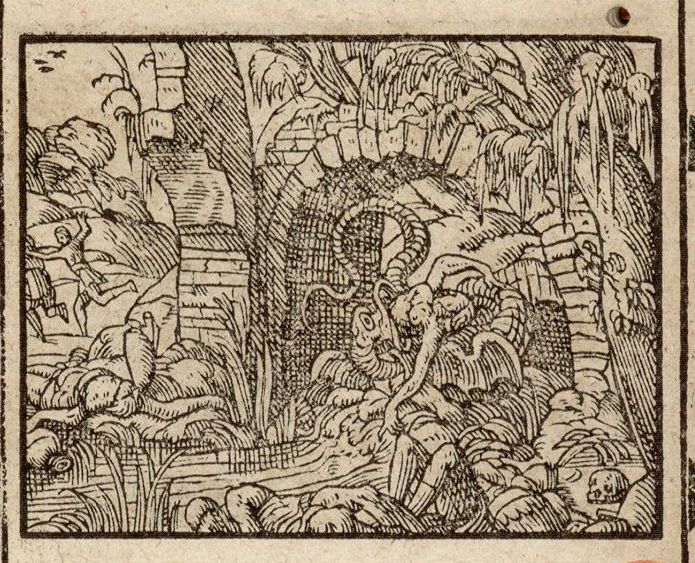 Numérisation d'un ornement