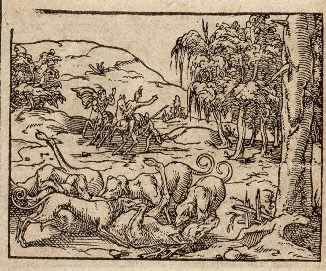 Numérisation d'un ornement