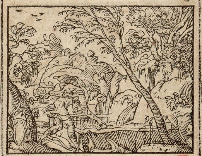 Numérisation d'un ornement