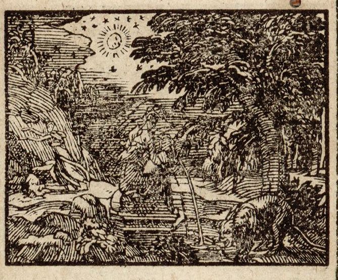 Numérisation d'un ornement