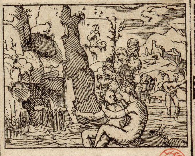 Numérisation d'un ornement