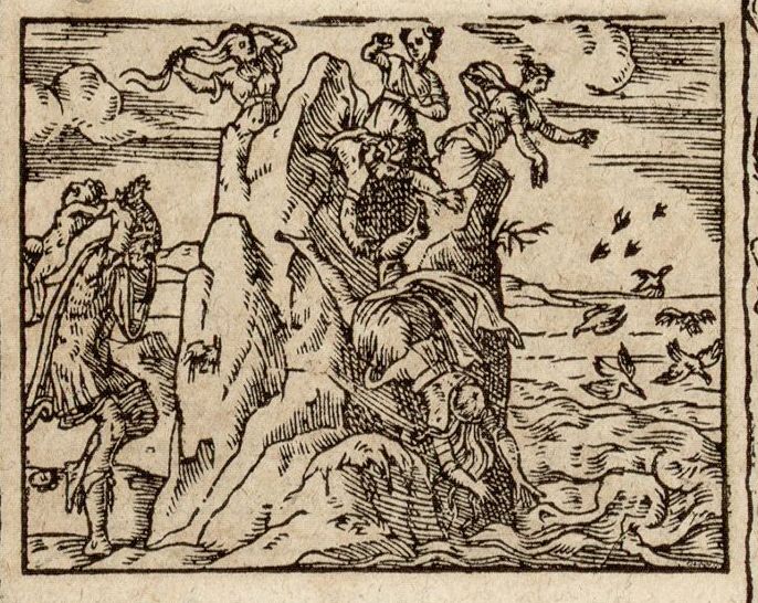 Numérisation d'un ornement