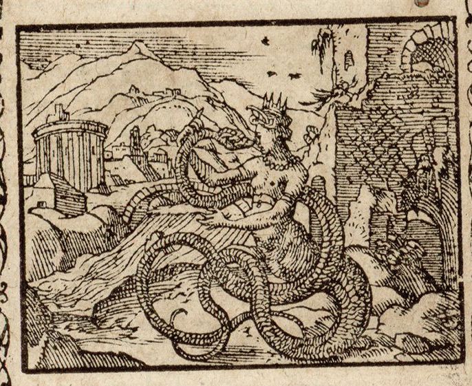 Numérisation d'un ornement