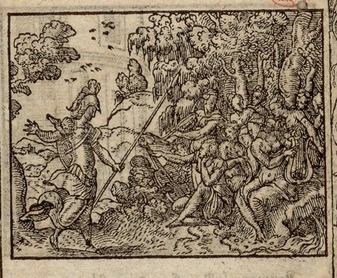 Numérisation d'un ornement