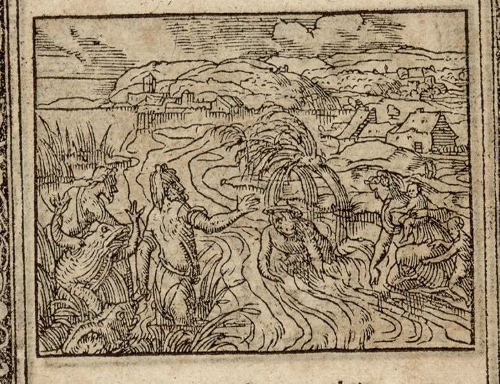 Numérisation d'un ornement