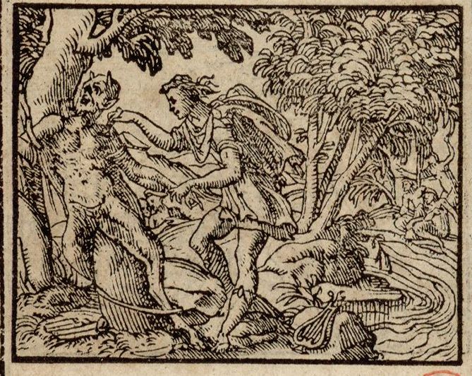 Numérisation d'un ornement