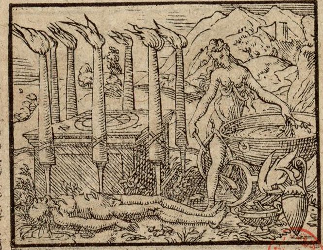 Numérisation d'un ornement