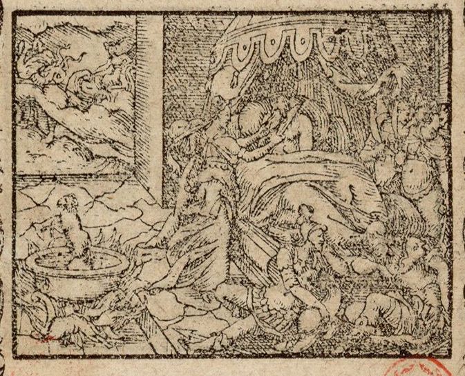 Numérisation d'un ornement