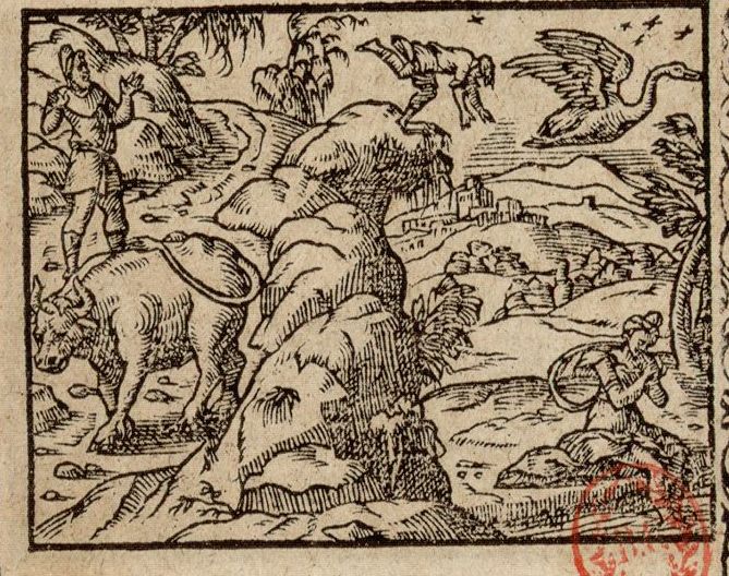 Numérisation d'un ornement