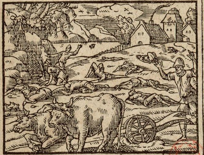 Numérisation d'un ornement