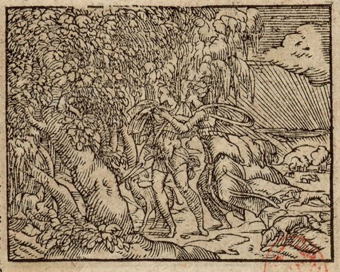 Numérisation d'un ornement