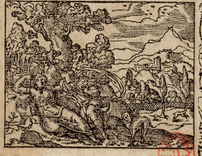 Numérisation d'un ornement