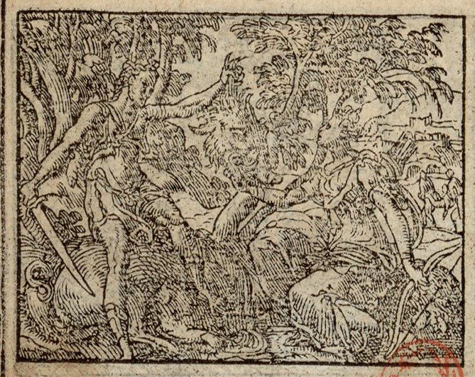 Numérisation d'un ornement