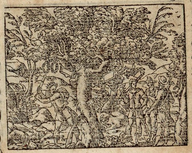 Numérisation d'un ornement