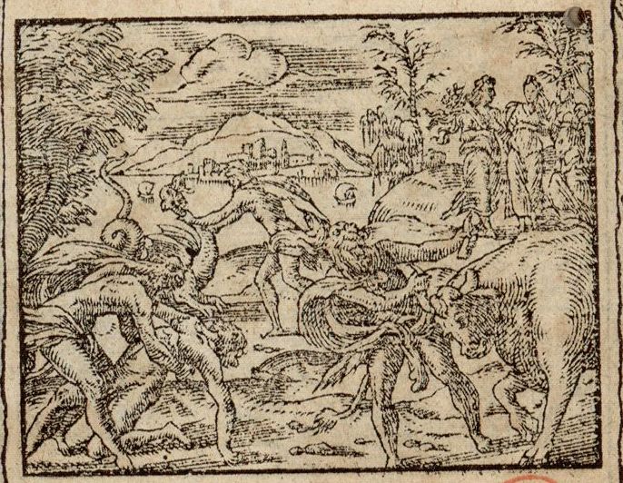 Numérisation d'un ornement