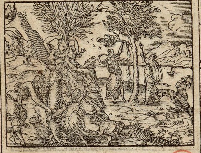 Numérisation d'un ornement