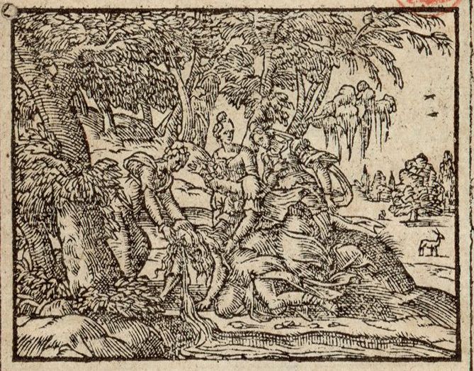 Numérisation d'un ornement