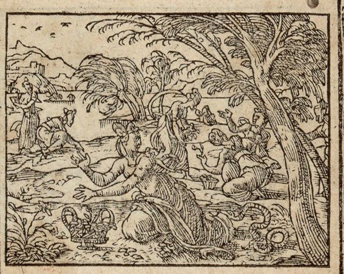 Numérisation d'un ornement