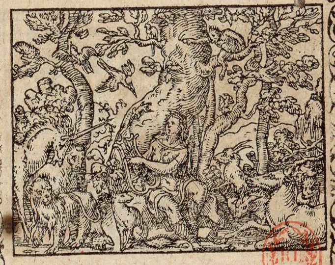 Numérisation d'un ornement