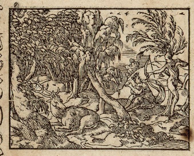 Numérisation d'un ornement