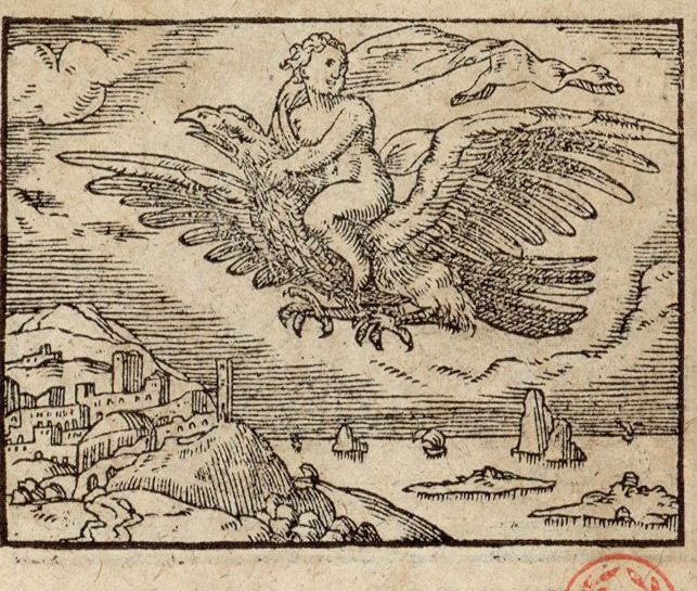 Numérisation d'un ornement