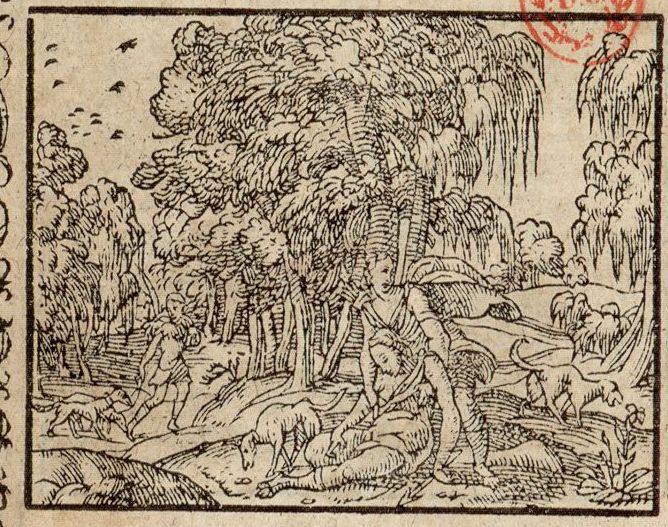 Numérisation d'un ornement