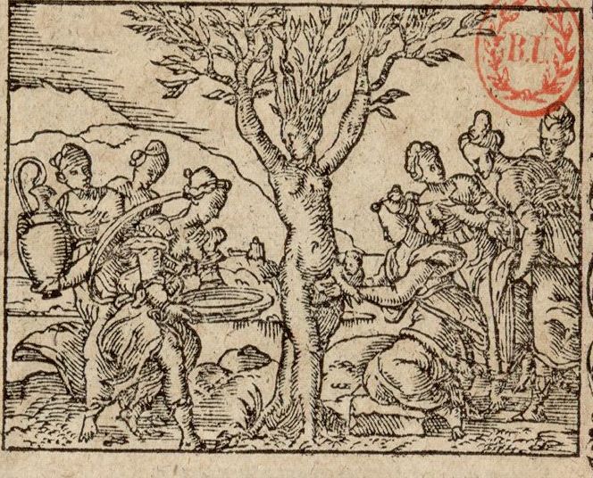 Numérisation d'un ornement