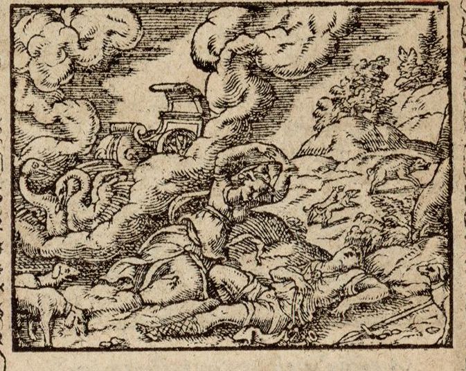 Numérisation d'un ornement