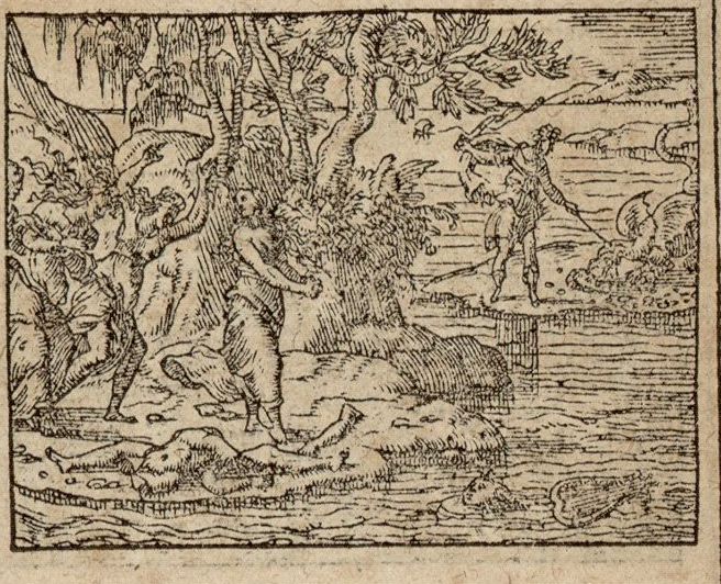 Numérisation d'un ornement