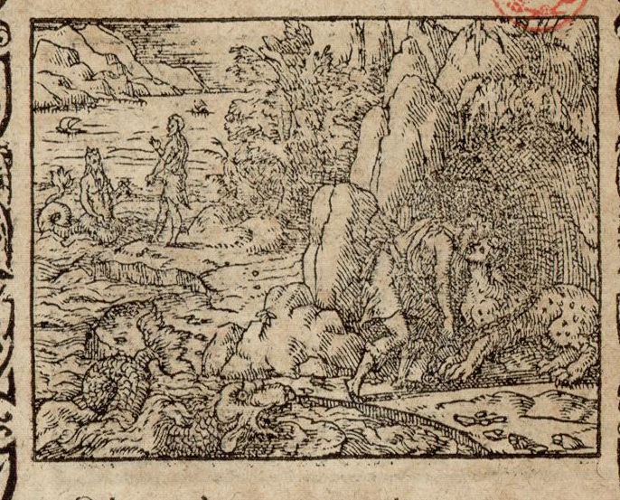 Numérisation d'un ornement