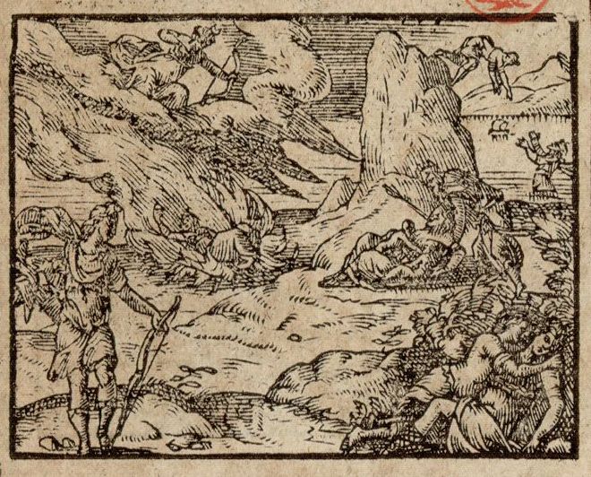 Numérisation d'un ornement