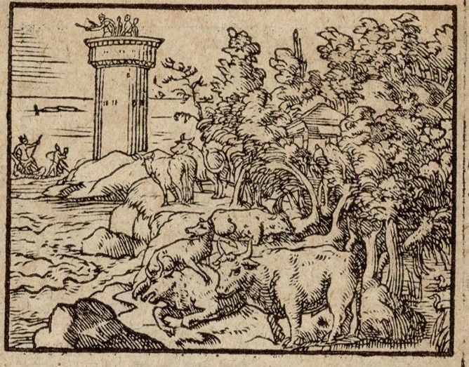 Numérisation d'un ornement