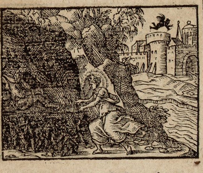 Numérisation d'un ornement